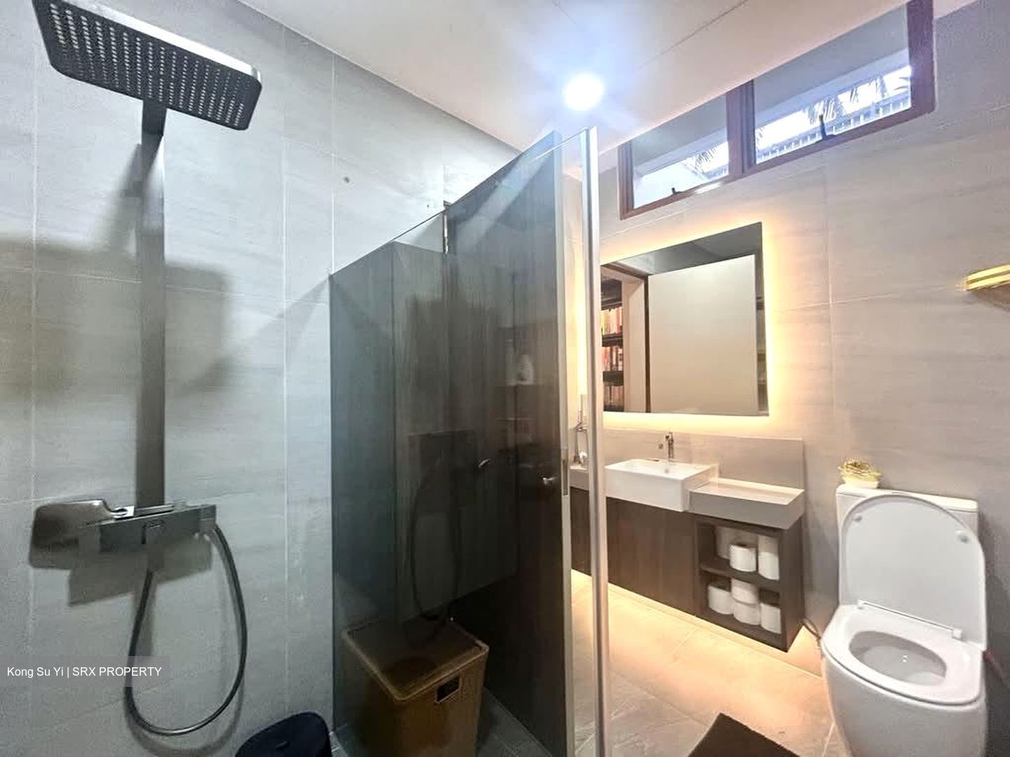 Shamrock Park (D10), Apartment #574541411